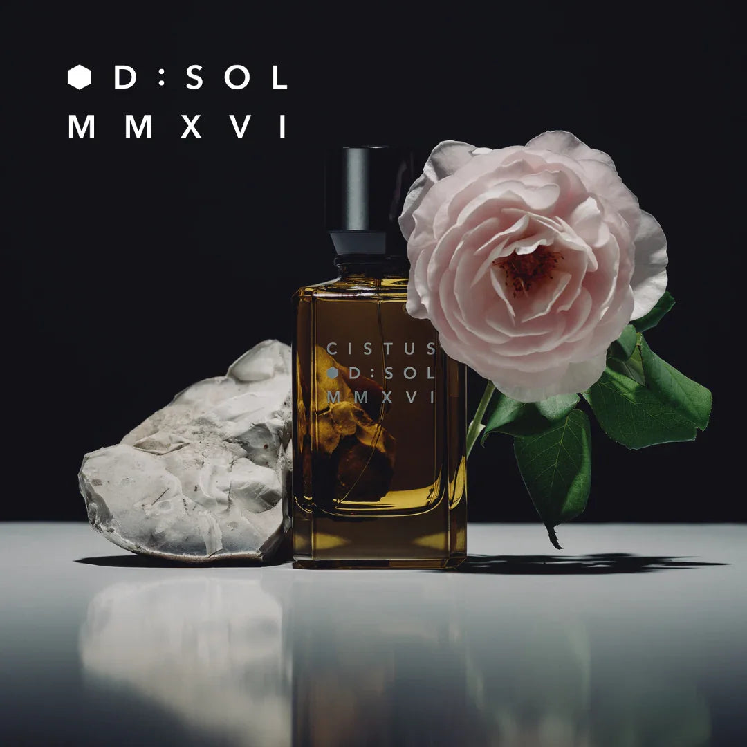 D:SOL Nischenduft CISTUR mit Rose Licht und Schatten