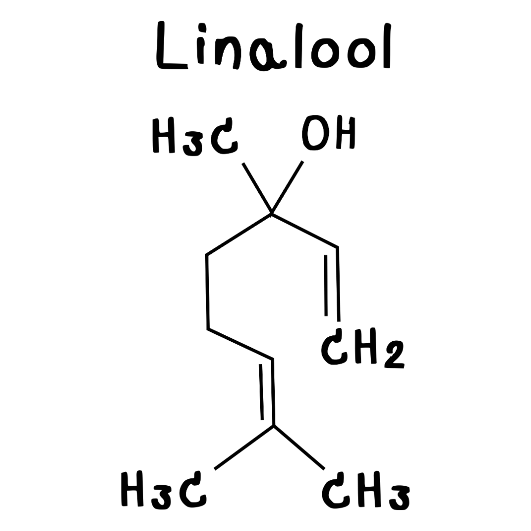 Linal Formel für Nischenparfums