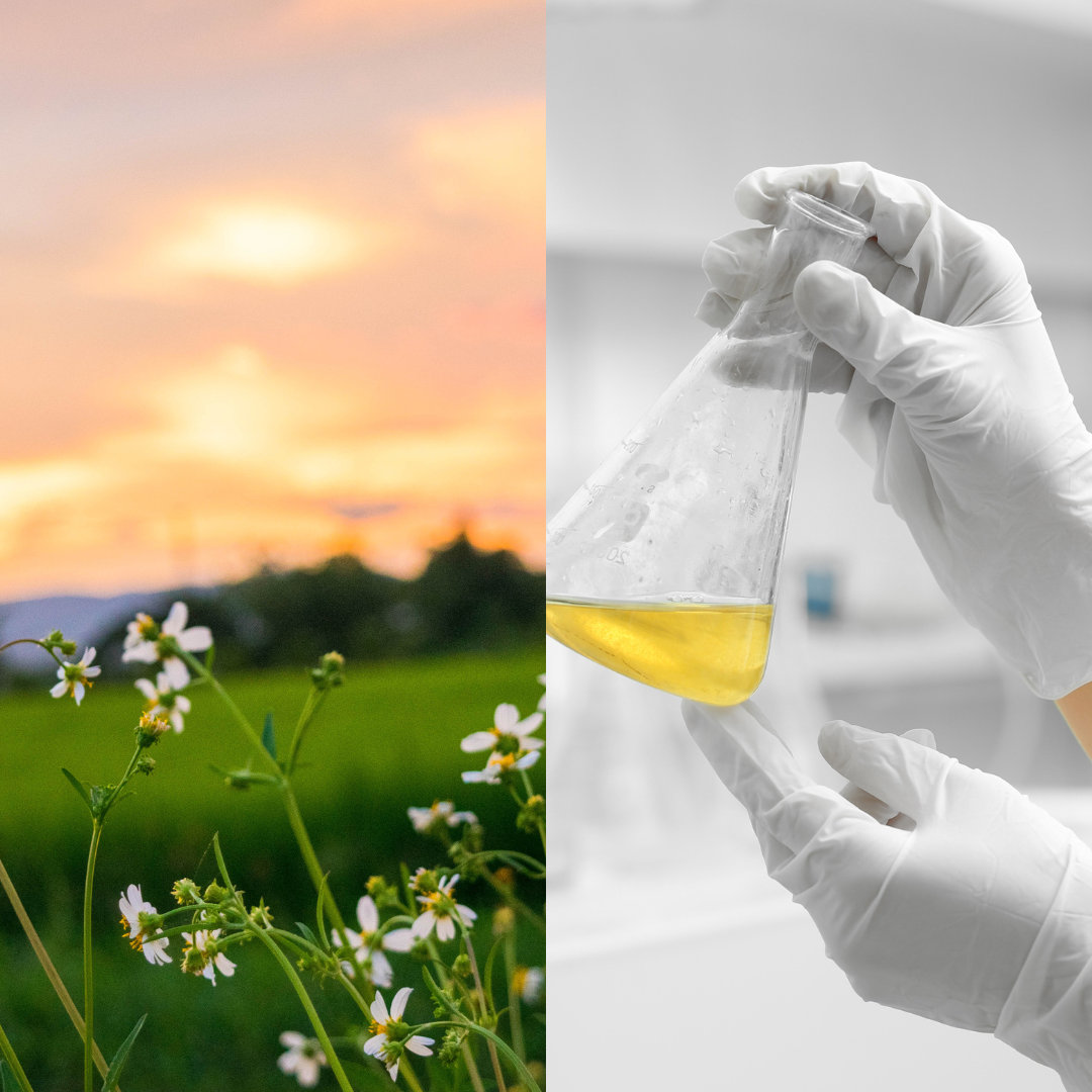 Natur oder Labor - das Duell auch bei Nischenparfums