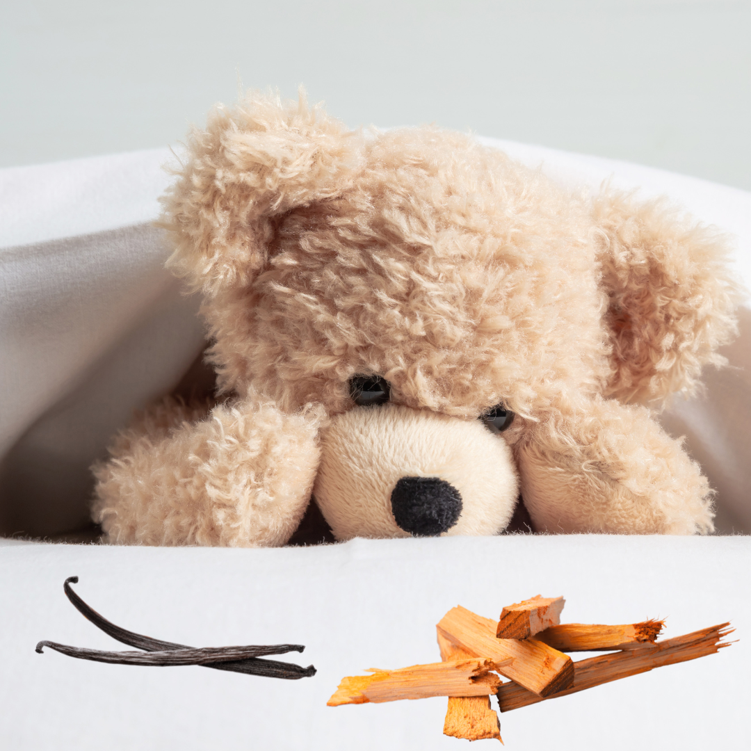 Der Vanilleduft Bär Herbst 2025