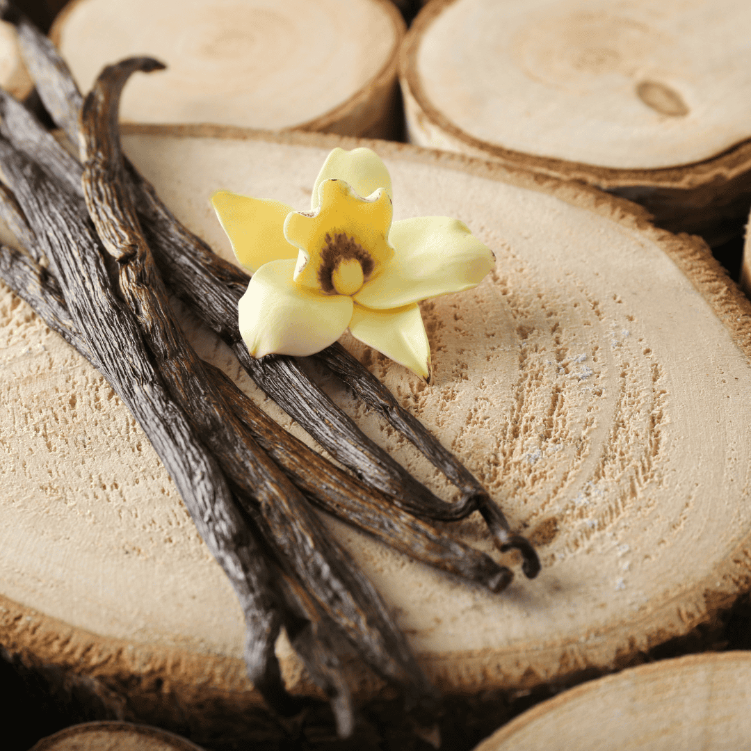 Vanille Blüte und Schoten auf Holzscheiben