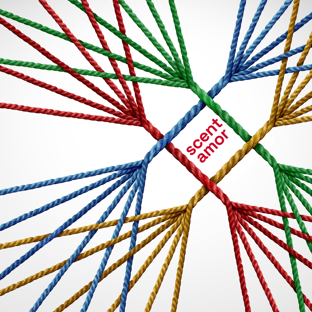 Duftguide bunte Fäden scent amor Nischenparfums