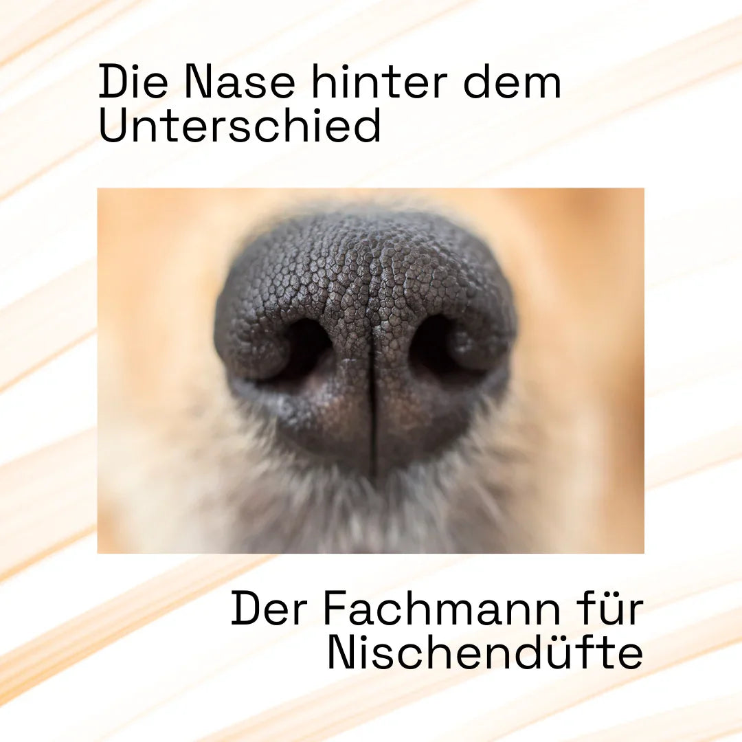 Hundenase Fachmann für Nischenparfum