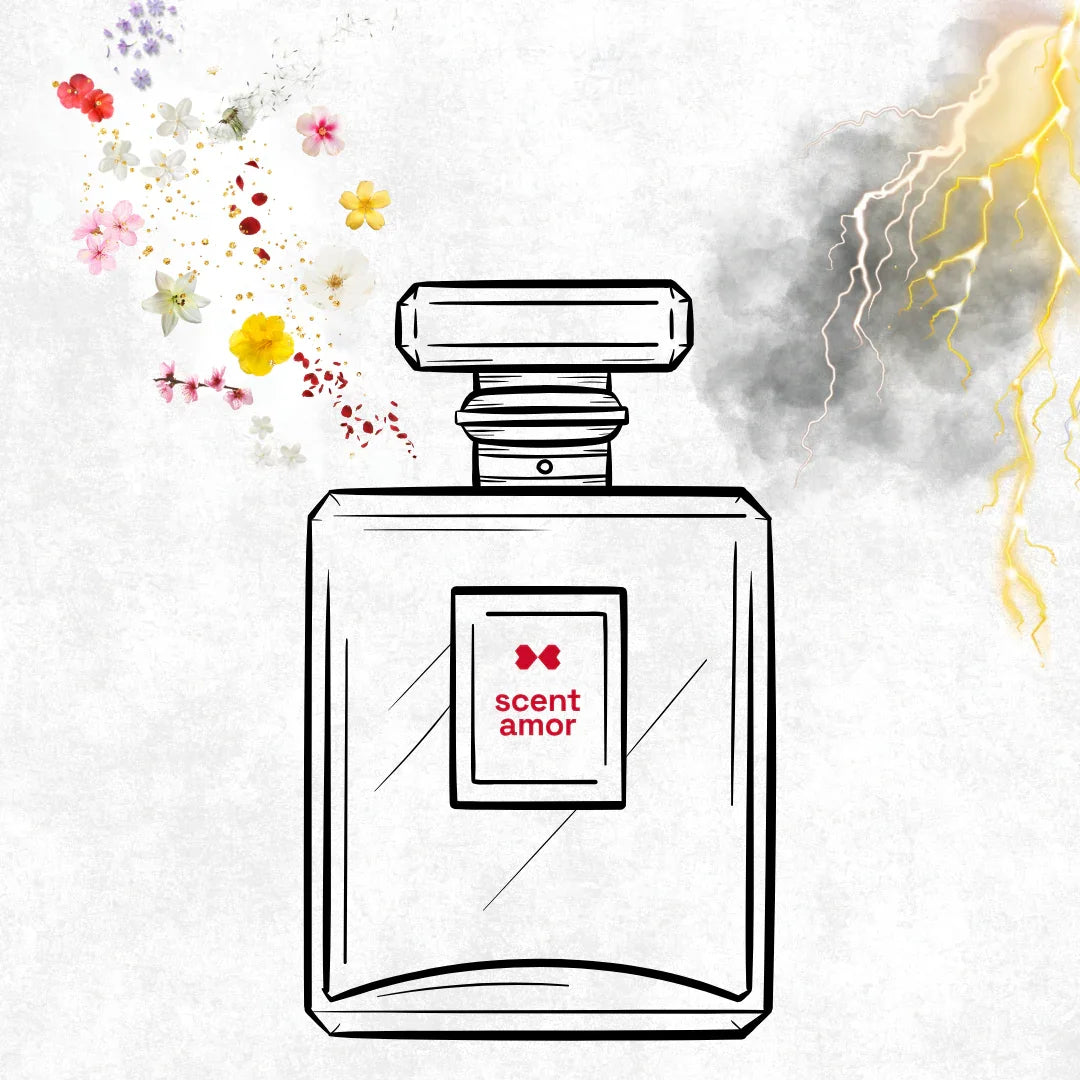 die feinsten Nischendüfte bei scent amor