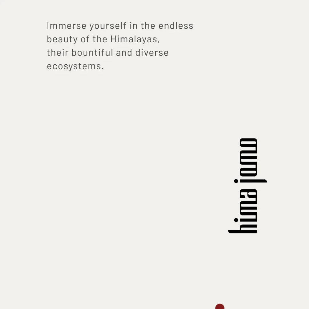 Das Bild zeigt den Schriftzug „hima jomo“ in vertikaler Ausrichtung und einen Werbesatz rechts oben im Bild. Produkt: Seasons Collection - Discovery Set. Anbieter: hima jomo.