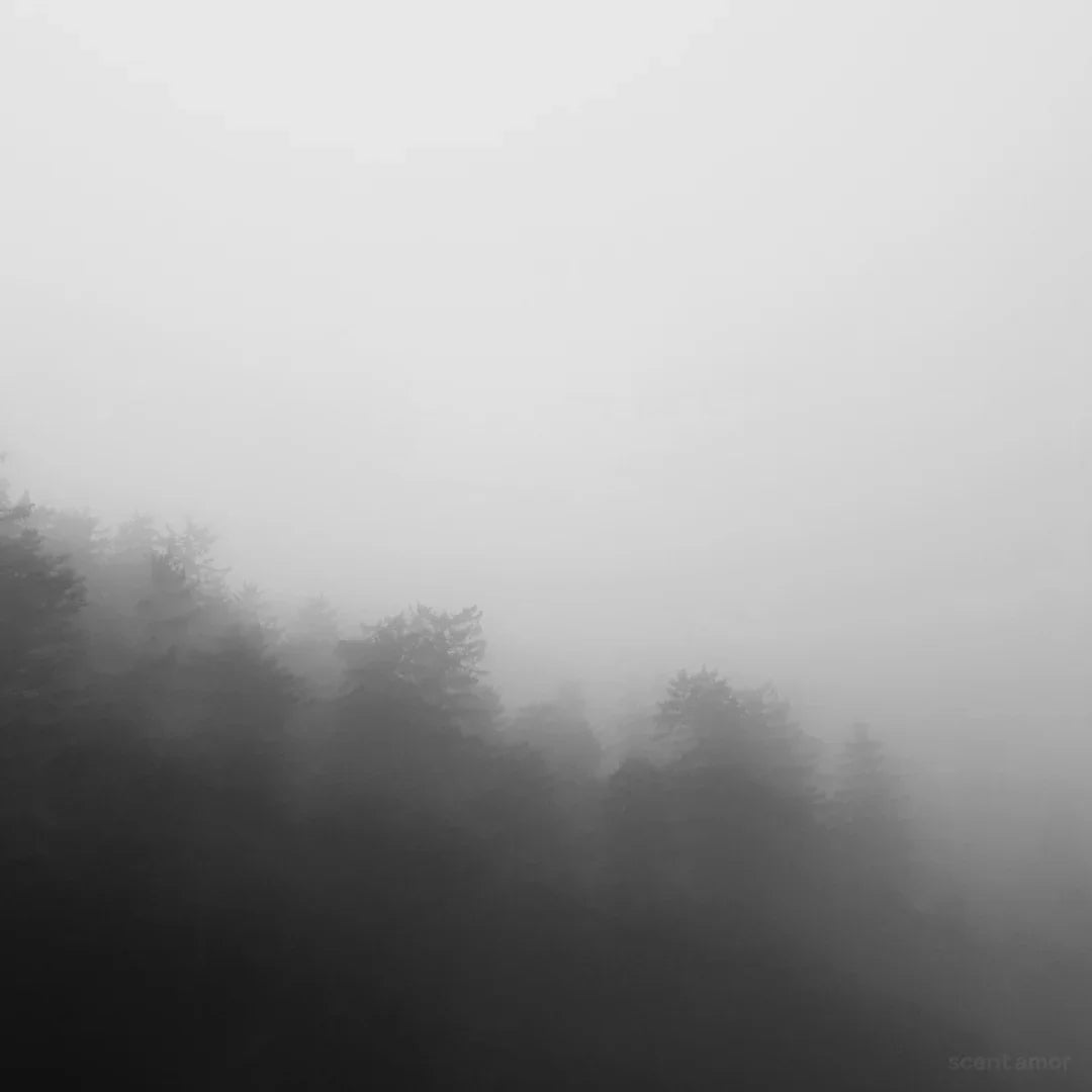 Schwarz-weiß Fotografie mit Nebel über einem Wald. Produkt: NEBBIA FITTA. Anbieter: Filippo Sorcinelli bei scent amor