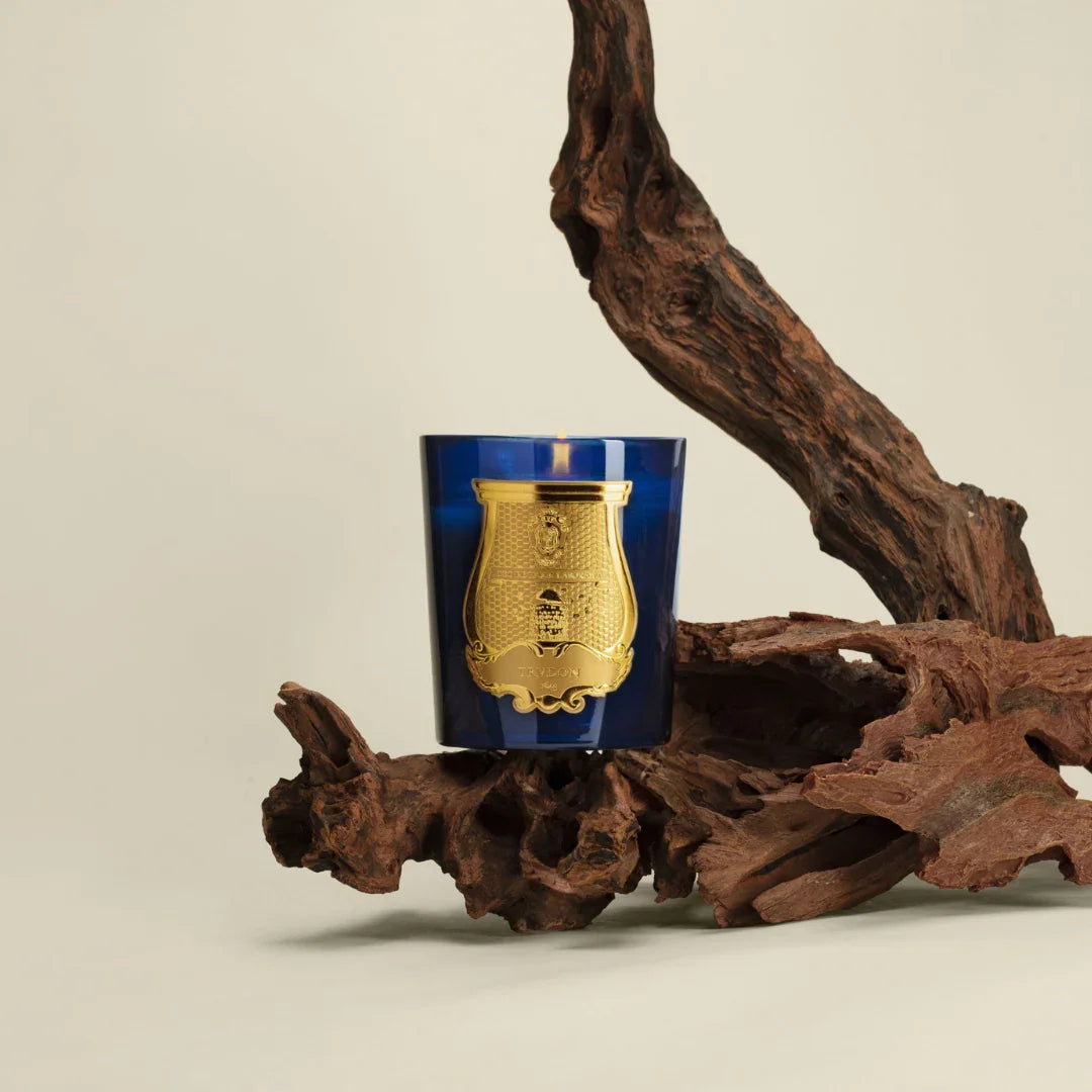 Blaue Duftkerze "Les Belles Matières - TADINE" von Trudon mit goldfarbenem Wappenemblem auf der Vorderseite.