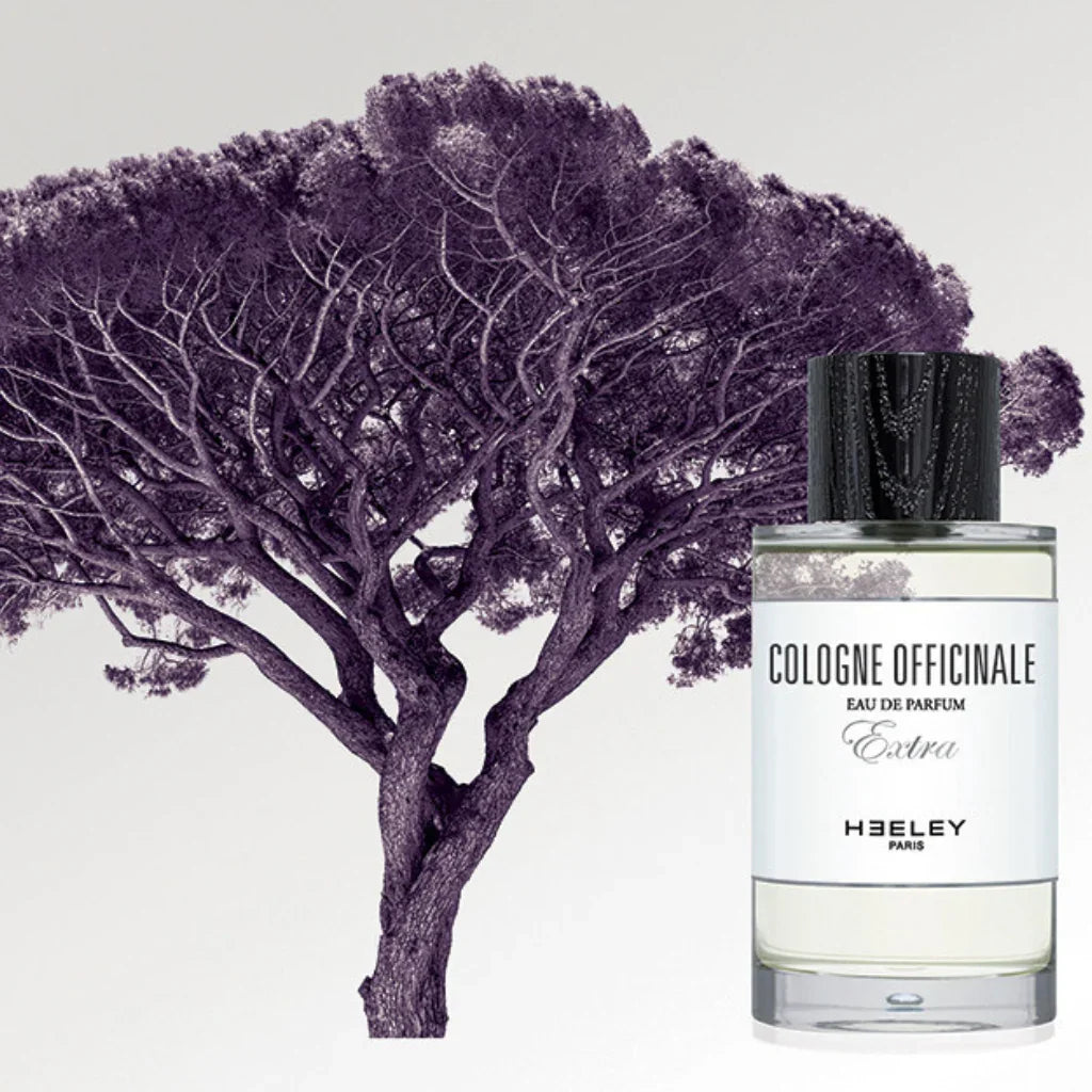 Das Bild zeigt eine Flasche "Cologne Officinale" von Heeley vor einem lila Baum. Das Parfüm hat eine klare Flüssigkeit und einen schwarzen Deckel.
