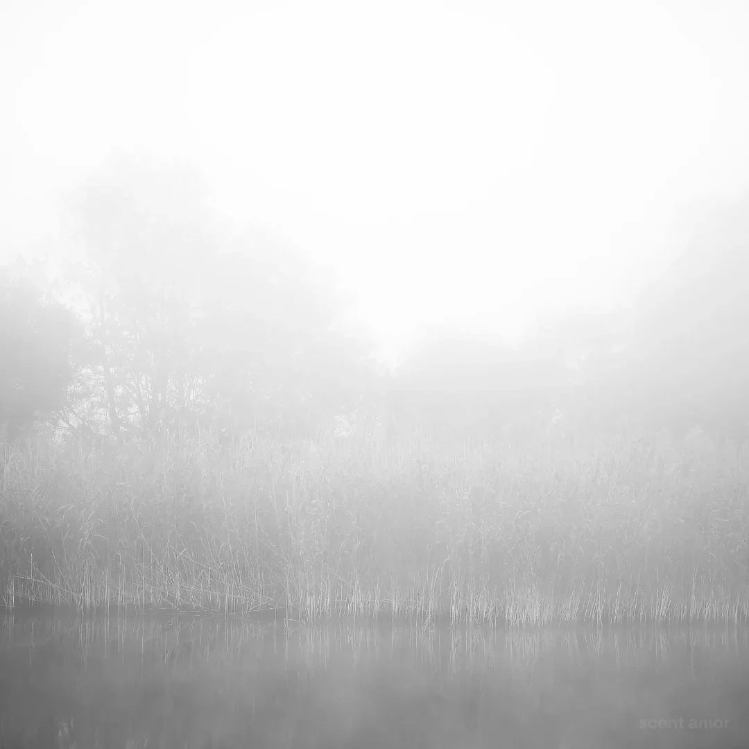 "NEBBIA DENSA" von Filippo Sorcinelli zeigt eine neblige Landschaft mit Bäumen und einem See im Vordergrund.