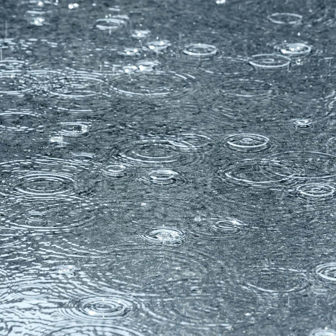 Wasseroberfläche mit kreisförmigen Regenwellen. Produkt: PIOGGIA MODERATA von Filippo Sorcinelli.