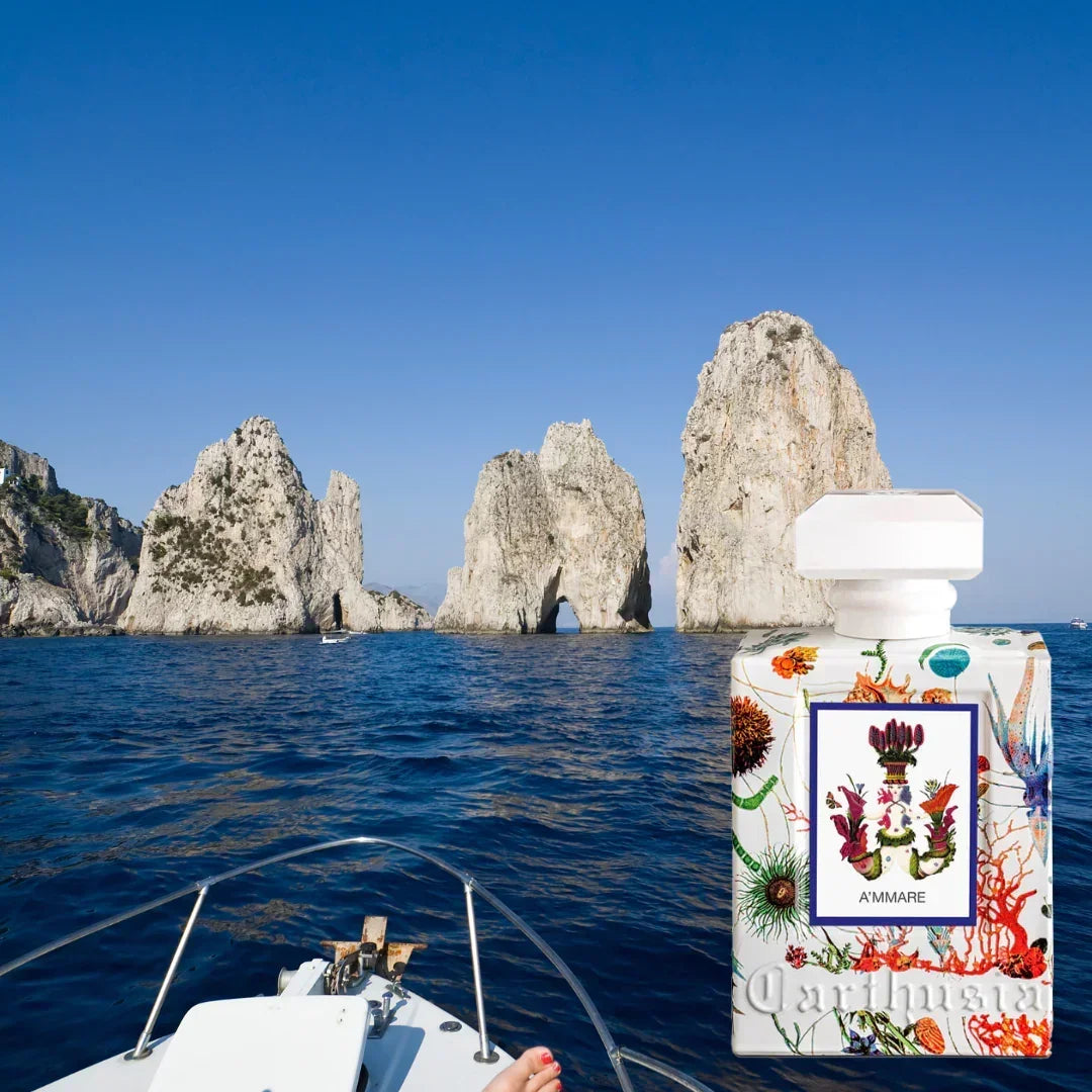 Carthusia "Via Camerelle Diffuser" vor felsiger Meereslandschaft, Flasche mit farbenfrohen floralen Mustern.