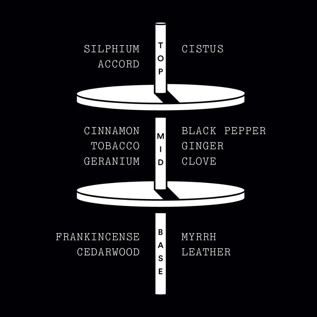 Diagramm der Duftnoten des Produkts "Silphium" von "Stora Skuggan". Zu sehen sind drei Ebenen: "Top" mit Silphium Accord und Cistus, "Mid" mit Cinnamon, Tobacco, Geranium, Black Pepper, Ginger und Clove, sowie "Base" mit Frankincense, Cedarwood, Myrrh und Leather.