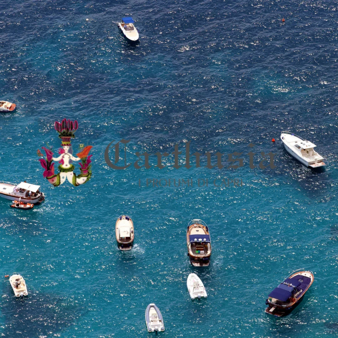 Das Bild zeigt mehrere Boote auf einem blauen Meer. Einige Boote sind weiß, andere haben dunkelblaue Teile. "Carthusia" ist in stilisierter Schrift auf dem Bild sichtbar. Produkt: Gemme di Sole Duftkerze. Anbieter: Carthusia.