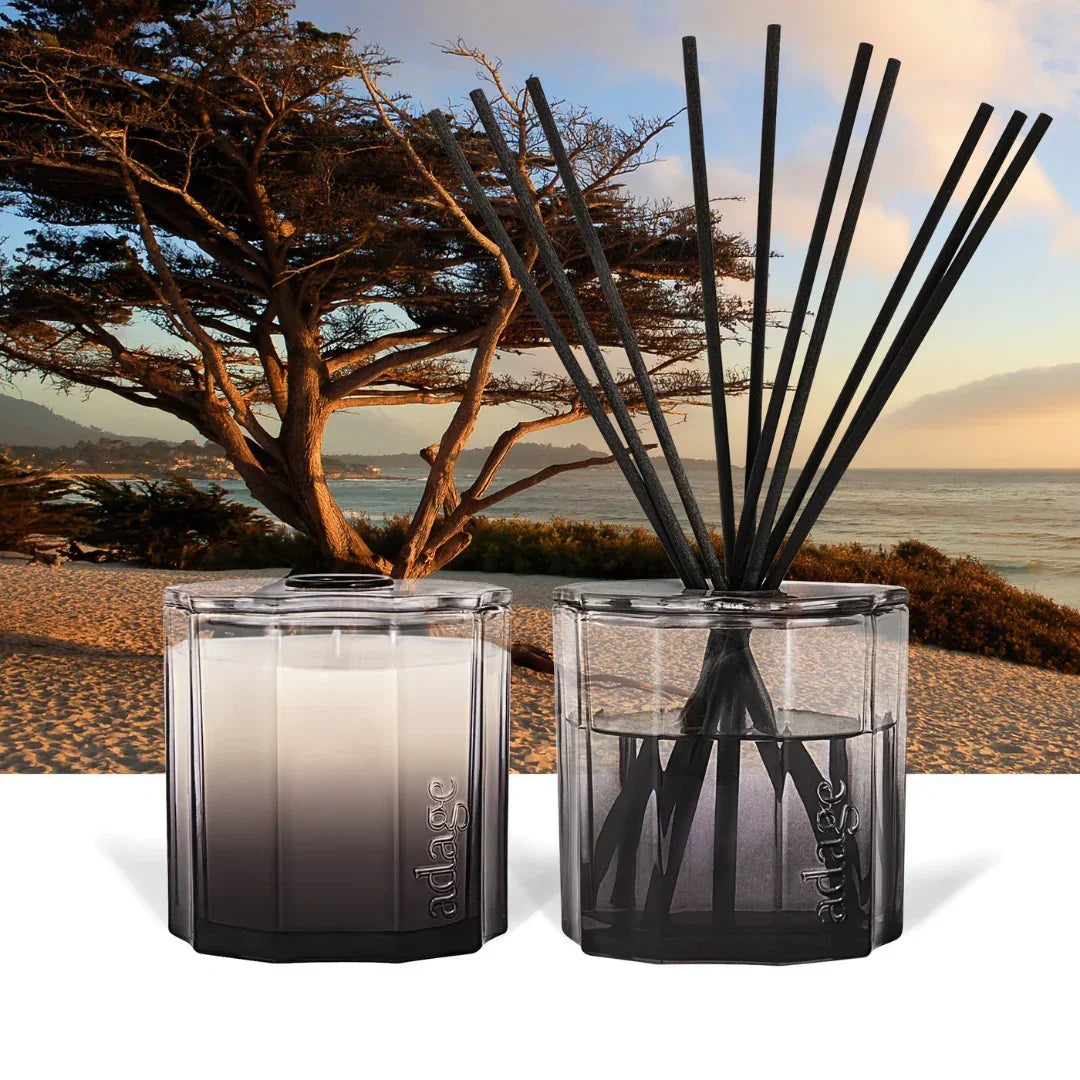 Zwei durchsichtige Glasbehälter mit einem rechteckigen, modernen Design. Einer enthält weiße Duftkerze, der andere schwarze Stäbchen. "Pacific Coast Duftkerze" von "source adage".