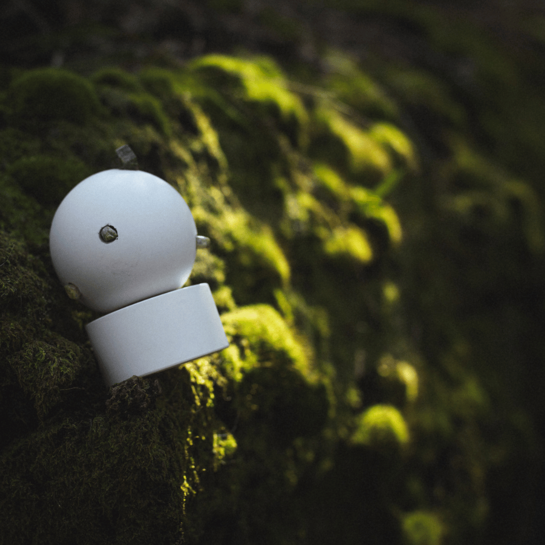 Adâme MADRE Extrait de Parfum scent amor auf Moos auf Felsen. Feines Nischenparfum