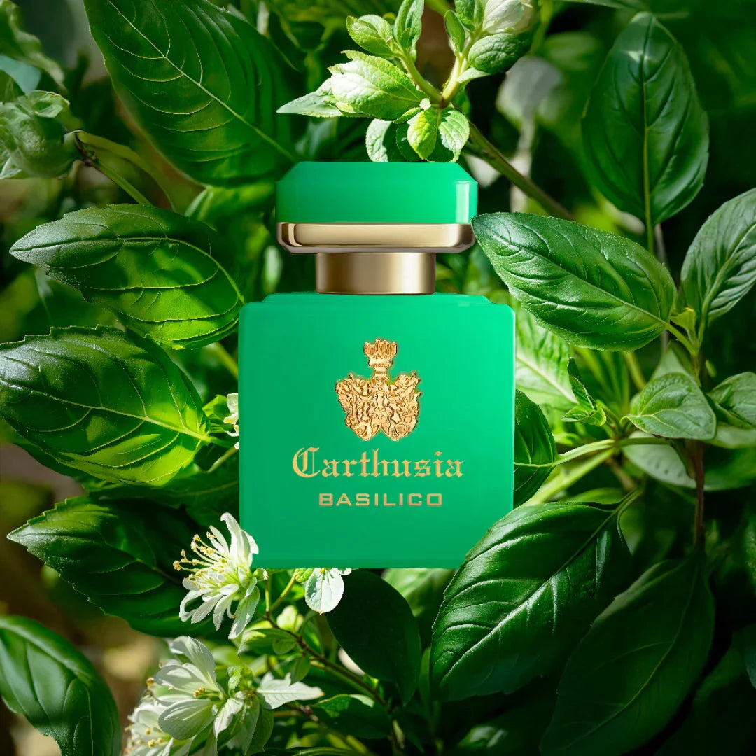 Carthusia Intenso di Basilico Eau de Parfum Flacon auf Basilikum   bei scent amor Nischenparfums