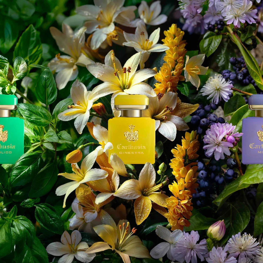 Carthusia Intenso di Ginestra Eau de Parfum mit den anderen Flacons bei scent amor - feine Nischenparfums