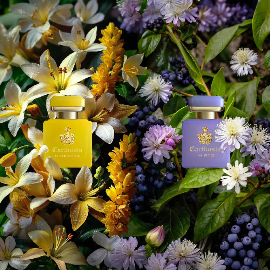 Carthusia Intenso di Mirto Eau de Parfum mit Ginestra auf Blüten beim Fachmann für die feinsten Nischendüfte