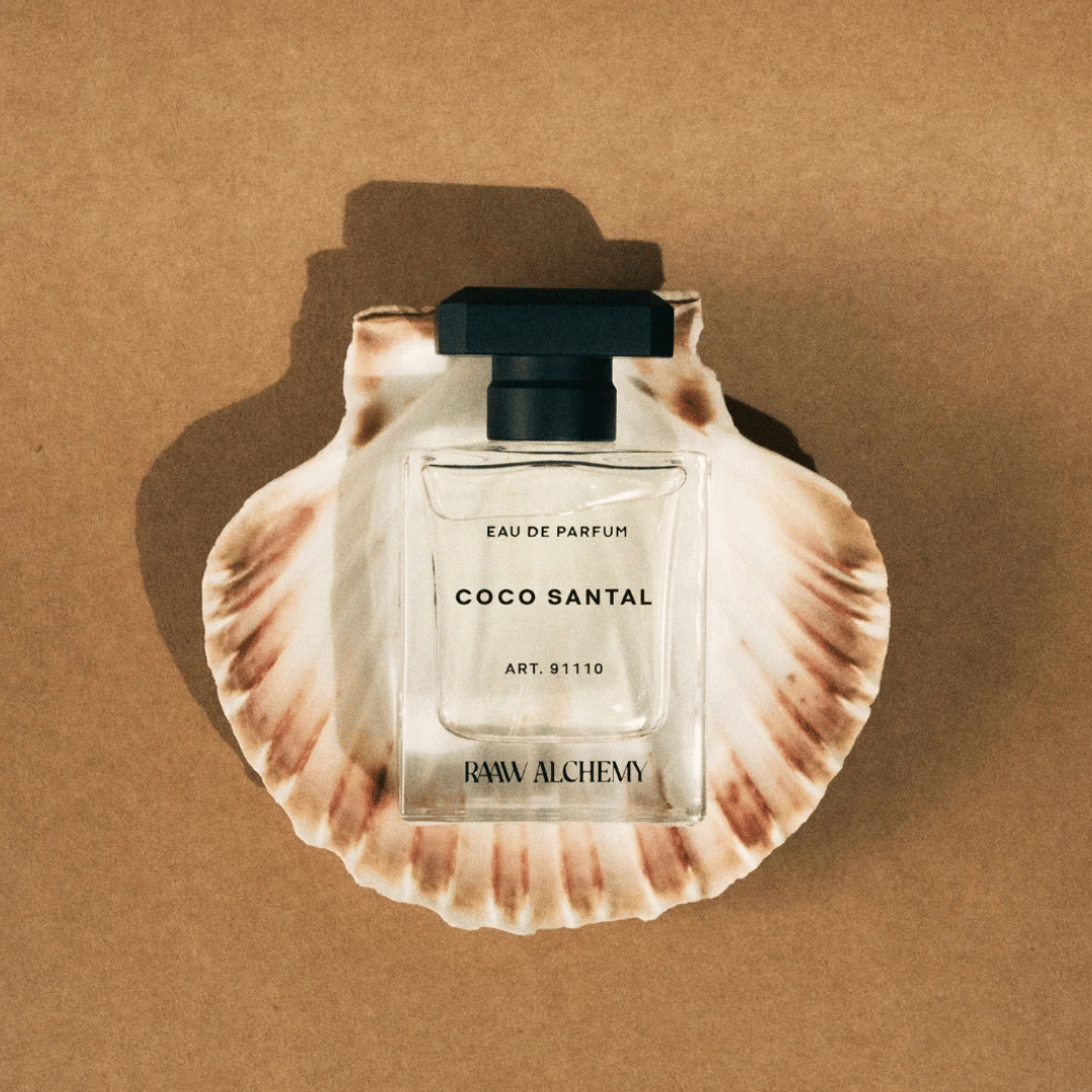 Coco Santal Raaw Alchemy in einer Schalenhälfte einer Jakobsmuschel präsentiert bei scent amor Fachmann für Nischenduft