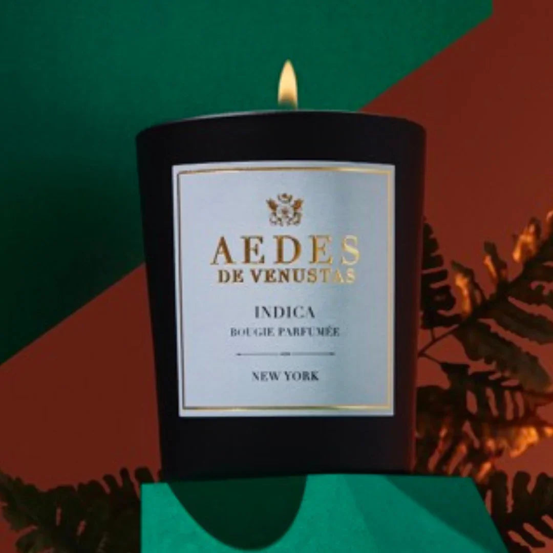 AEDES DE VENUSTAS INDICA Duftkerze Mood brennende Kerze closeup Farnblatt