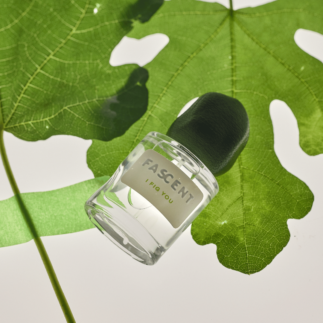 FASCENT Nischenparfum vor Feigenblatt bei scent amor