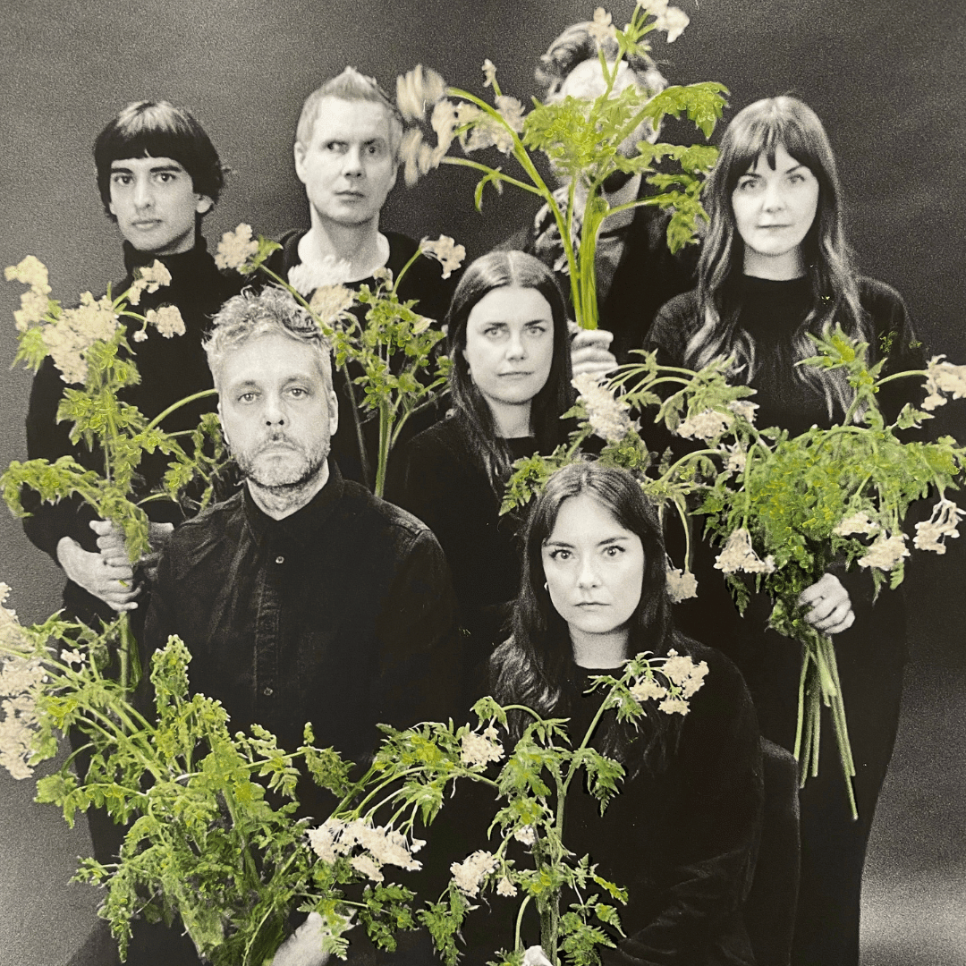 Fischersund Nischendüfte von Island Familie mit Grünpflanzen