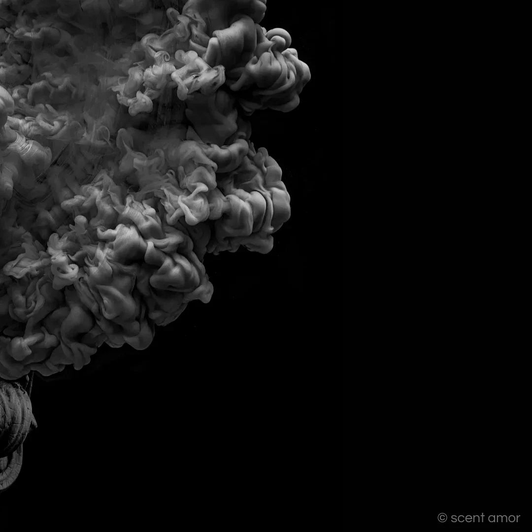 LUCIUS Extrait de Parfum – exklusiver, langanhaltendes und exklusives Nischenparfum bei scent amor entdecken