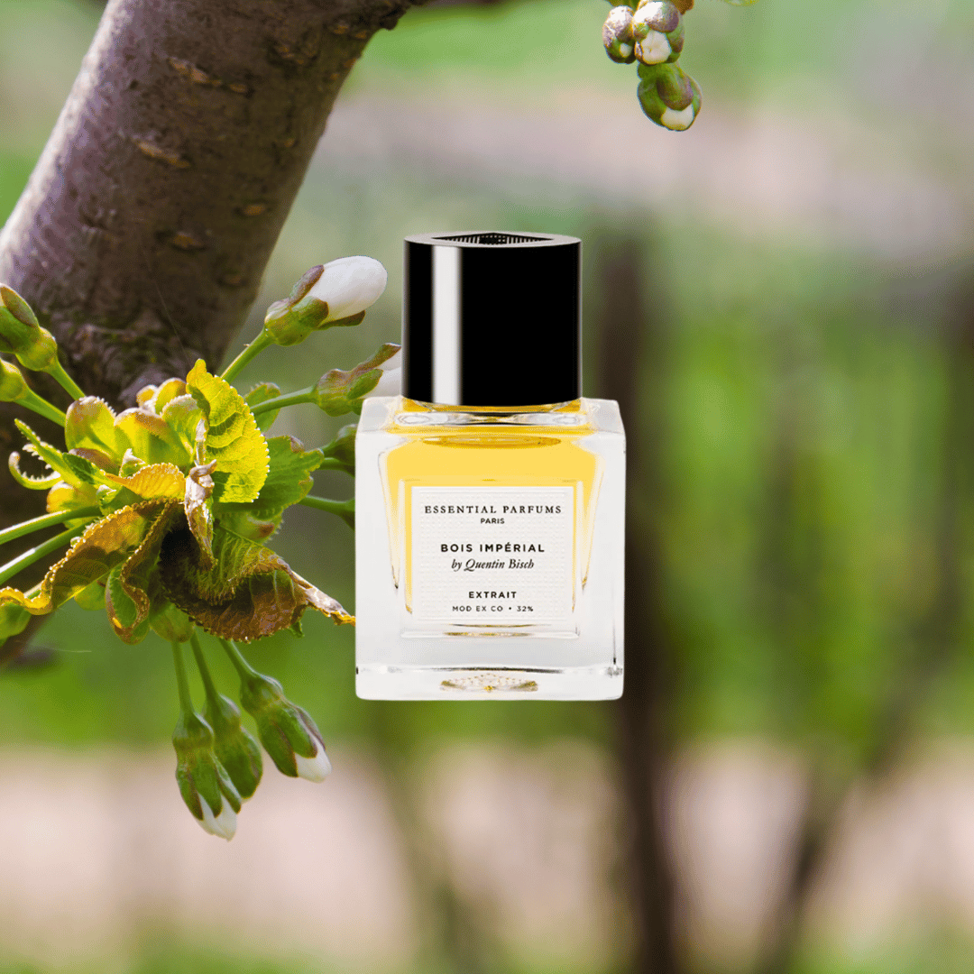 freigestellter Nischenduft Flakon von Essential Parfums vor Kirschblüten für scent amor