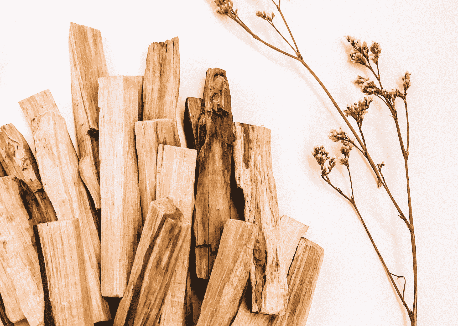 Palo Santo Holz Stücke Nischenduft Duftstoff