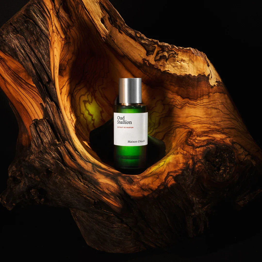 maison crivelli oud stallion flakon auf holz scent amor