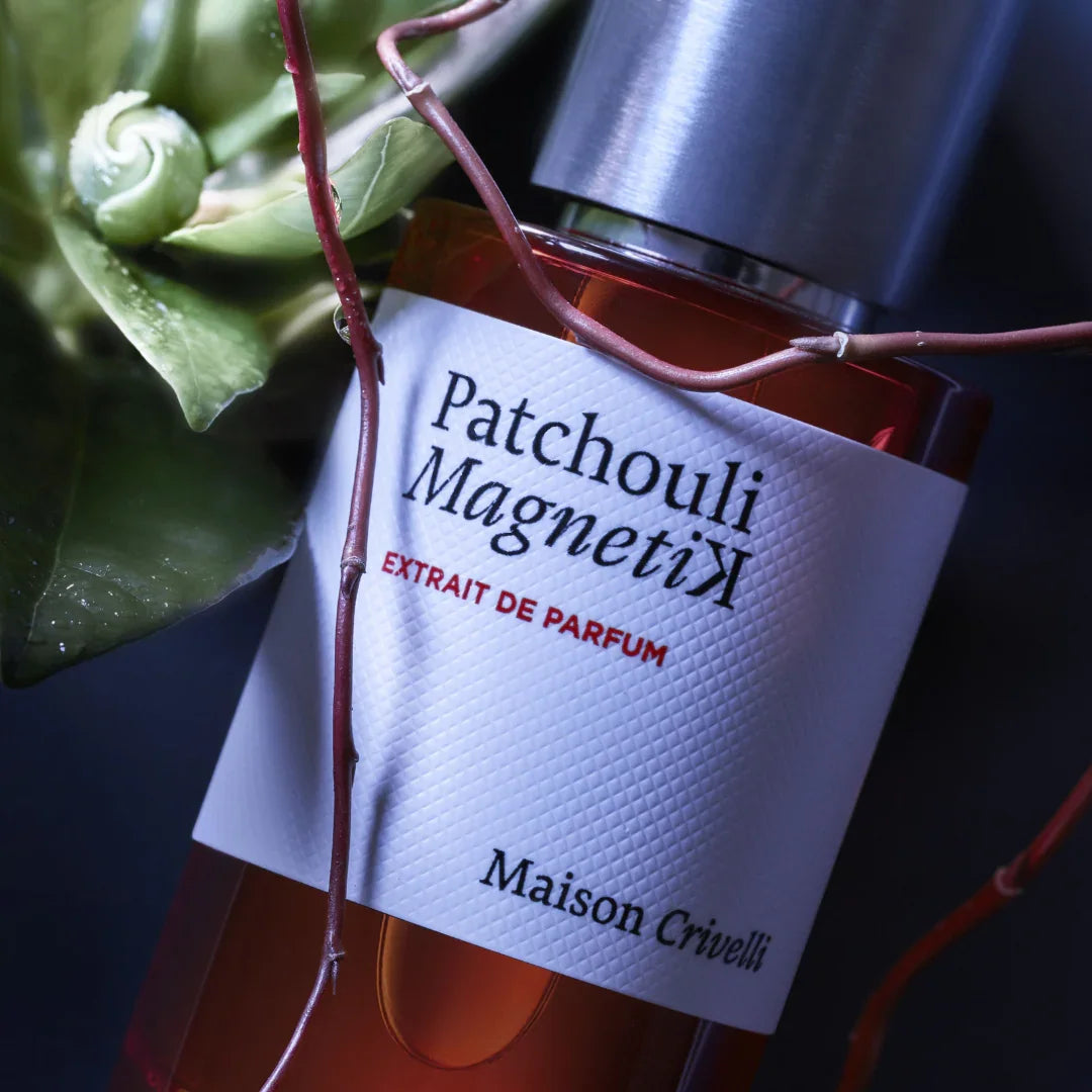 maison crivelli patchouli magnetik flakon in pflanze