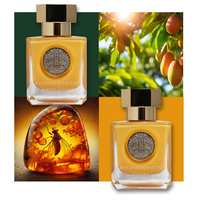 Flakons von Nectar Olfactife Ambre Cristal und Cerana mit einem Bernstein und Baum mit Früchten in der Sonne