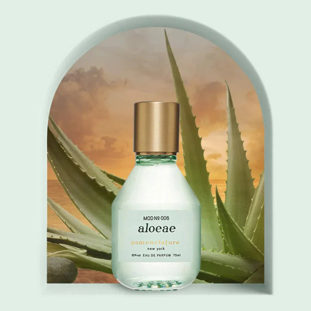 nomenclature Aloeae Eau de Parfum – der Flakon steht vor Aloe Vera Pflanzen, eingerahmt von einem mintfarbenen Rahmen, ein Bild voller Frische und Naturverbundenheit – erlebe den Nischenduft