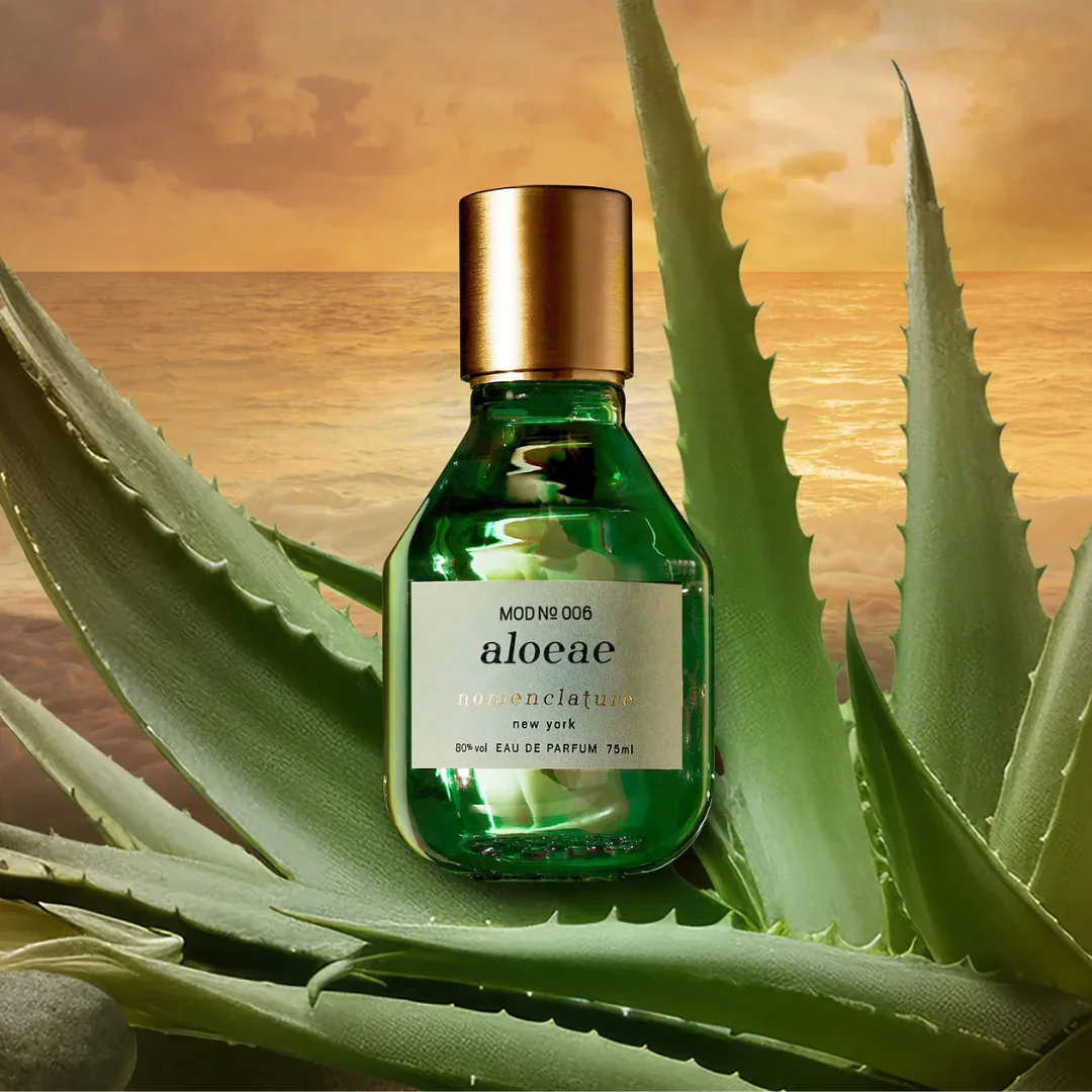 nomenclature Aloeae Eau de Parfum – der Flakon steht vor einer Aloe Vera Pflanze, ein Bild, das die feuchtigkeitsspendende Kraft der Natur einfängt