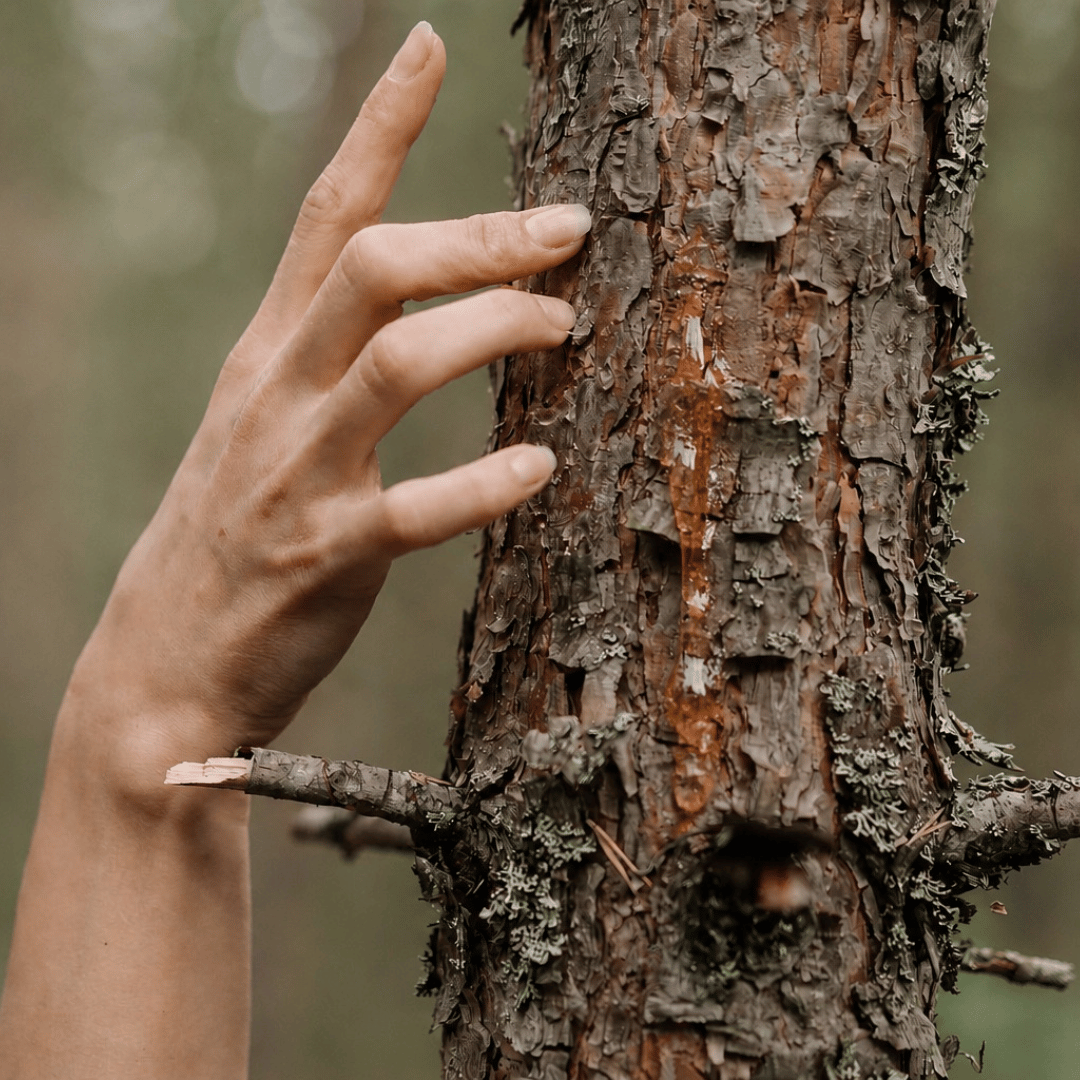 RESINA Extrait de Parfum Adame harziger Baum mit Hand auf Baumstamm bei scent amor