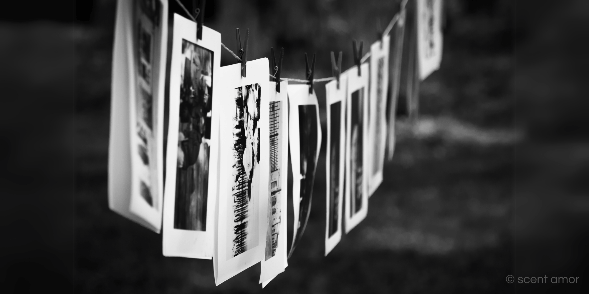 Postkarten an Wäscheleine hängend scent amor Fachmann für Nischendüfte