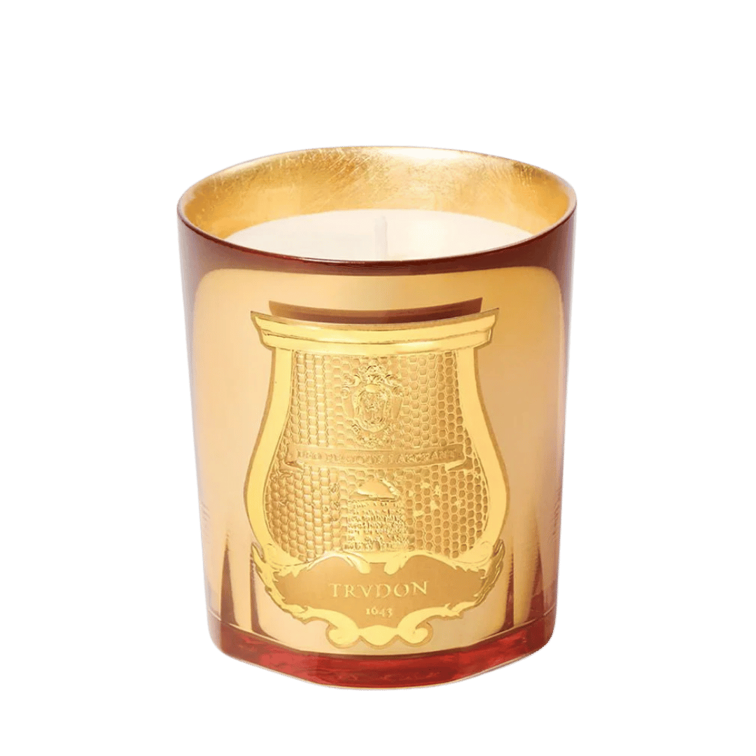 Trudon GALERIE DES FLAMMES La Nuit des Glaces 2026 Duftkerze freigestellt bei scent amor