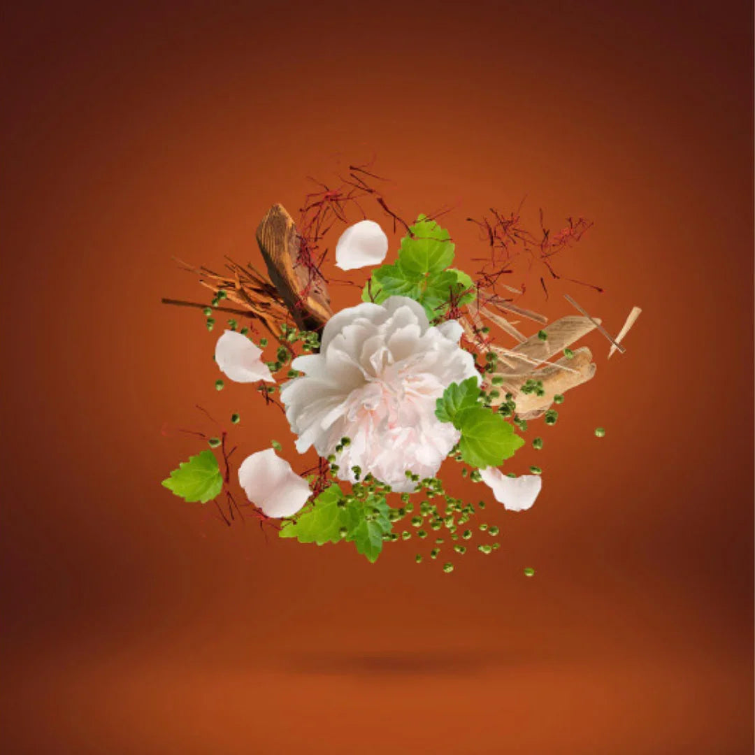 Duftkomposition von Xerjoff 1888 Eau de Parfum mit edlen Blüten, grünen Blättern und orientalischen Gewürzen – ein charaktervoller Nischenduft der Casamorati-Kollektion, jetzt bei scent amor erleben