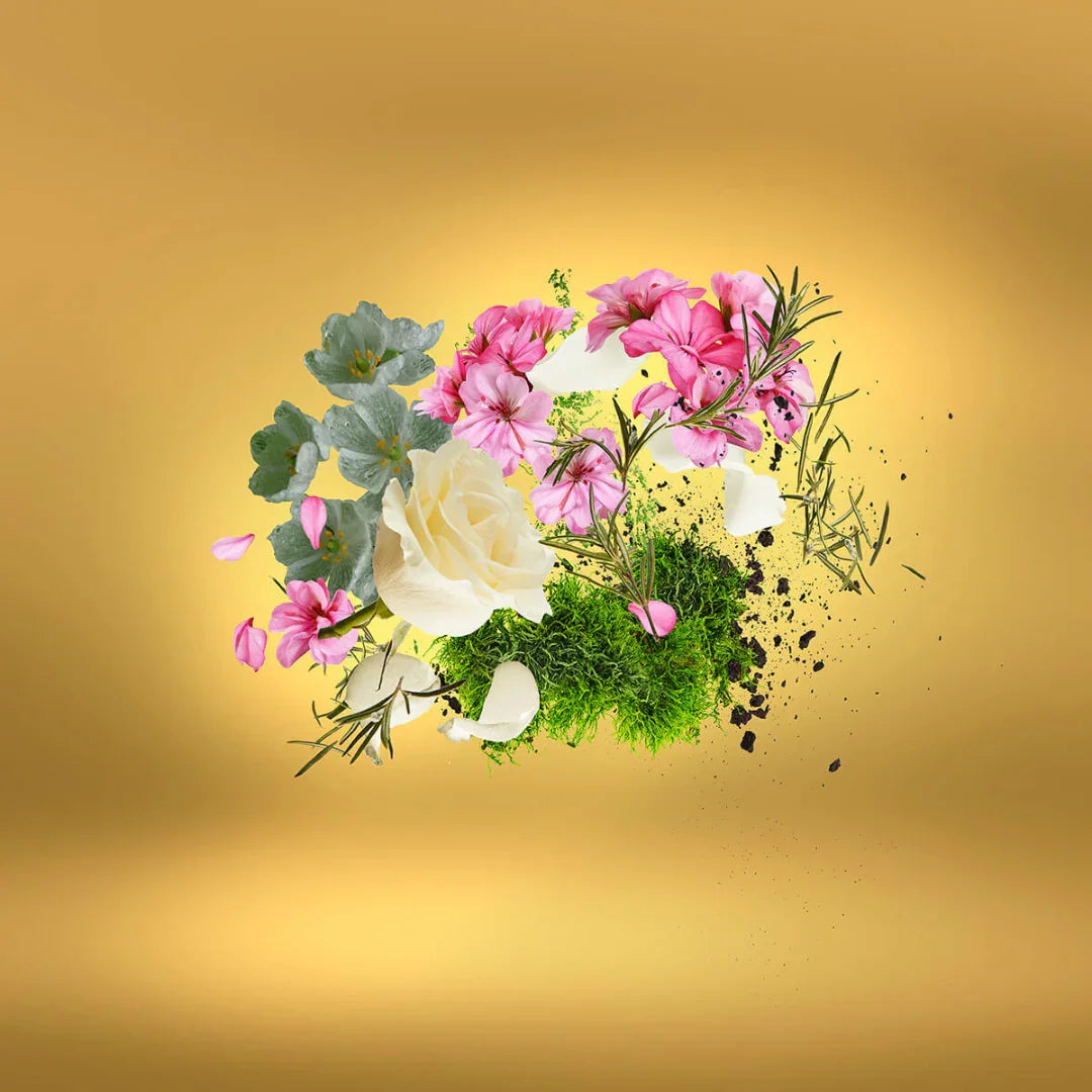 Duftkomposition und Inhaltsstoffe von Xerjoff Casa Futura Eau de Parfum – faszinierender Nischenduft aus der Casamorati-Kollektion, jetzt bei scent amor entdecken