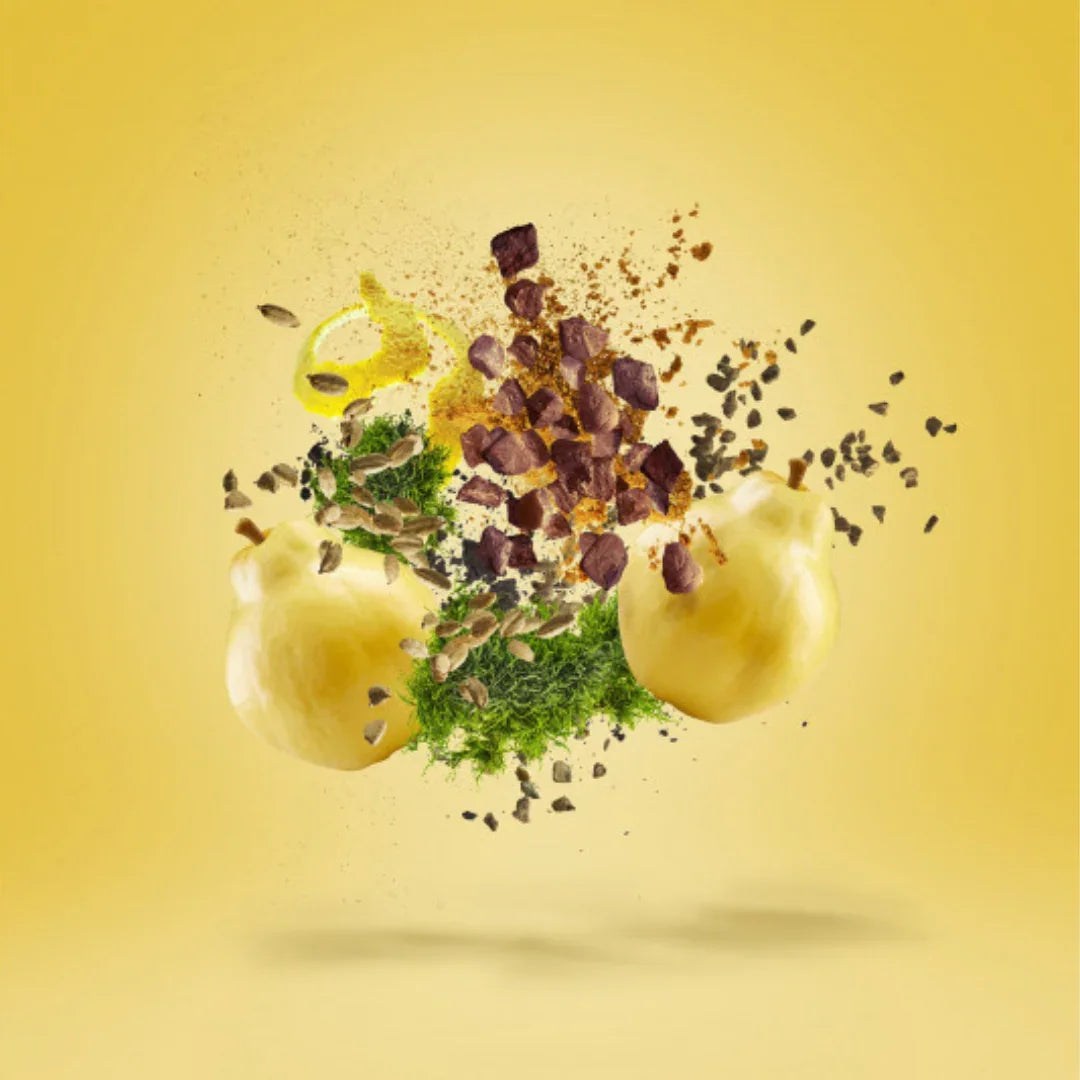 Duftkomposition von Xerjoff Dolce Amalfi Eau de Parfum mit süßer Birne und zarter Schokolade – ein gourmandiger Nischenduft aus der Casamorati-Kollektion, jetzt bei scent amor genießen