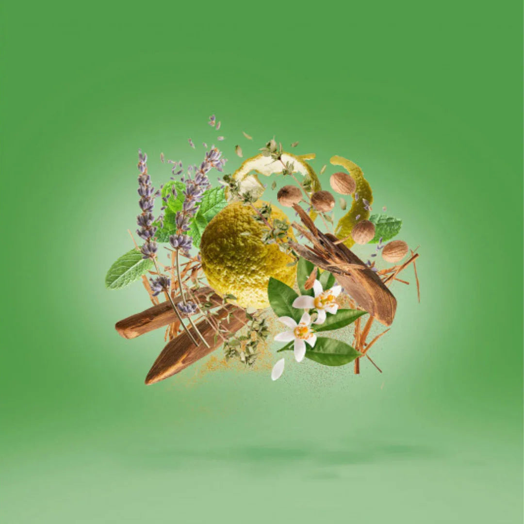 Duftnoten von Xerjoff Fiero Eau de Parfum mit aromatischen Kräutern, Gewürzen und floraler Frische – ein charakterstarker Nischenduft, jetzt bei scent amor auswählen