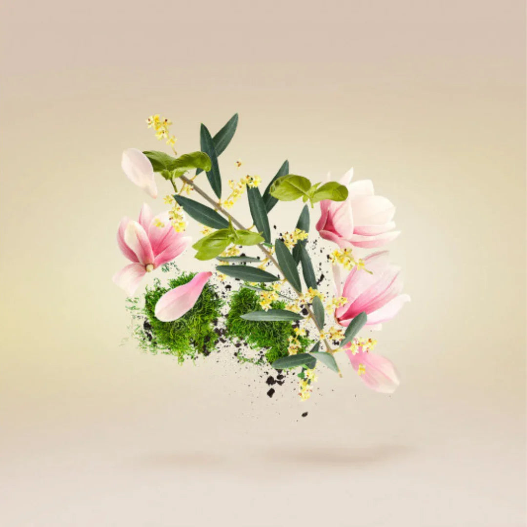 Duftkomposition von Xerjoff Fiore d’Ulivo Eau de Parfum mit floralen Noten und moosigem Akkord – eleganter Nischenduft der Casamorati-Kollektion, jetzt bei scent amor erleben