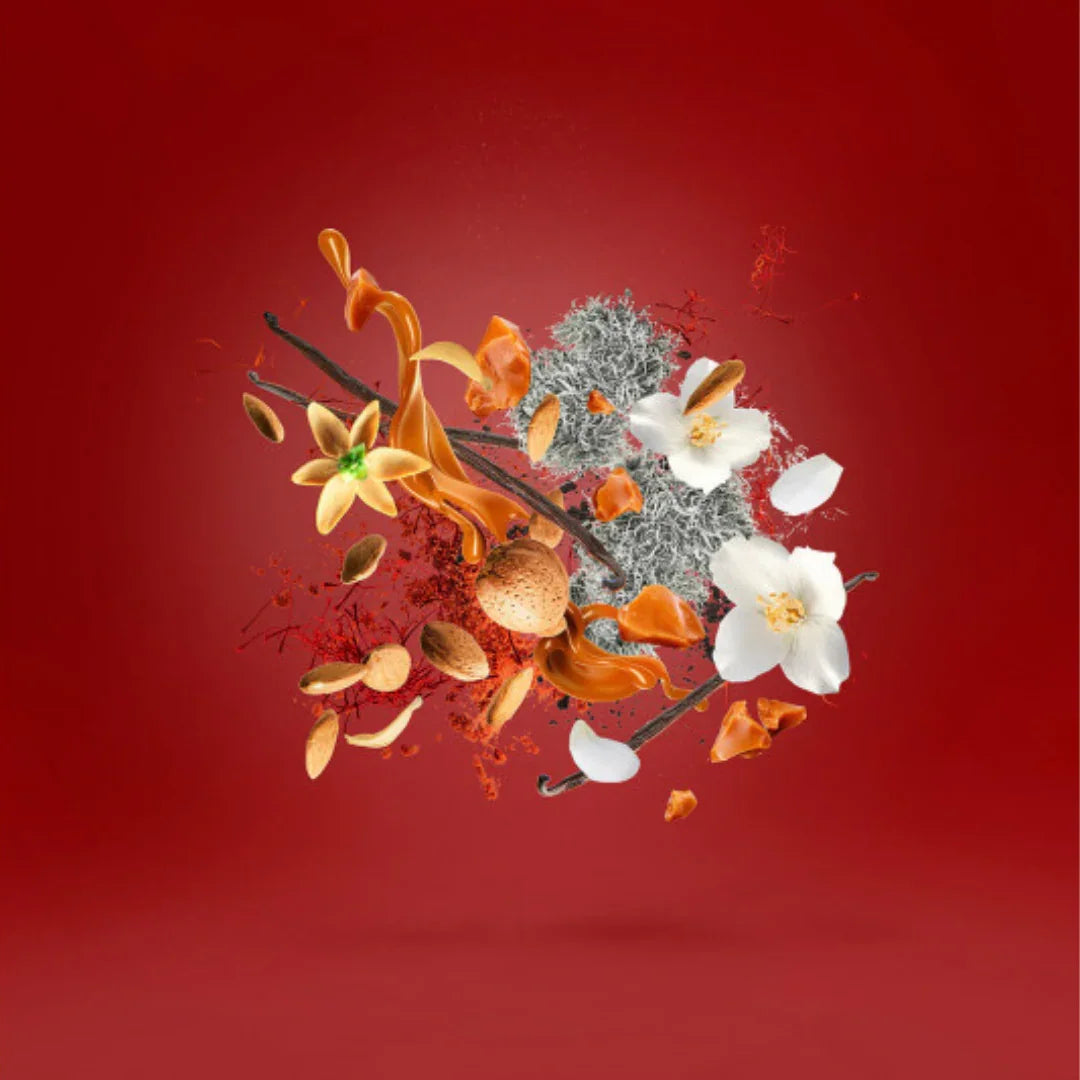 Inhaltsstoffe und Duftakkorde von Xerjoff Italica Eau de Parfum – eleganter Nischenduft mit cremig-süßer Komposition, bei scent amor finden und erleben