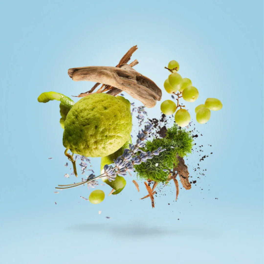 Duftkomposition von Xerjoff Mefisto Gentiluomo Eau de Parfum mit frischen Zitrusnoten und edlem Holz – eleganter Nischenduft aus der Casamorati-Kollektion, jetzt bei scent amor erleben