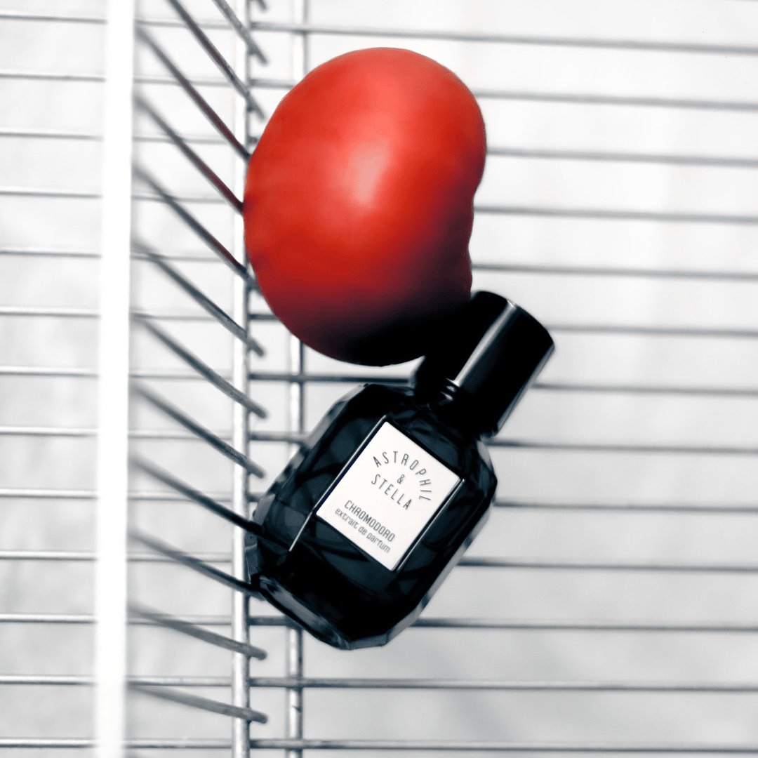 Astrophil & Stella Chromodoro Extrait de Parfum – künstlerisch inszenierter Flakon neben Tomate im Gitter, ein Bild voller Kontraste bei scent amor