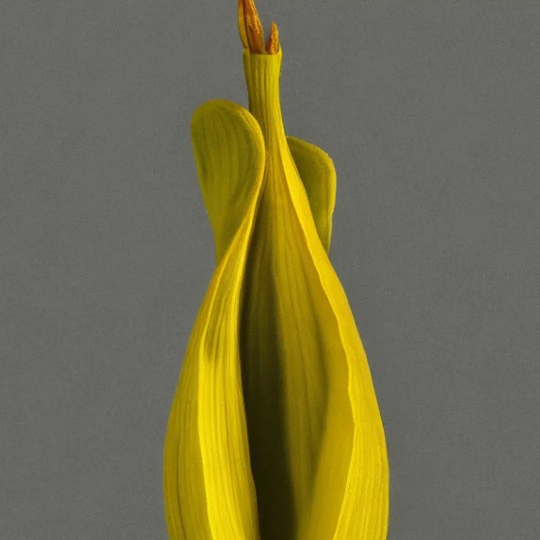 Detail einer Blüte mit Stempel