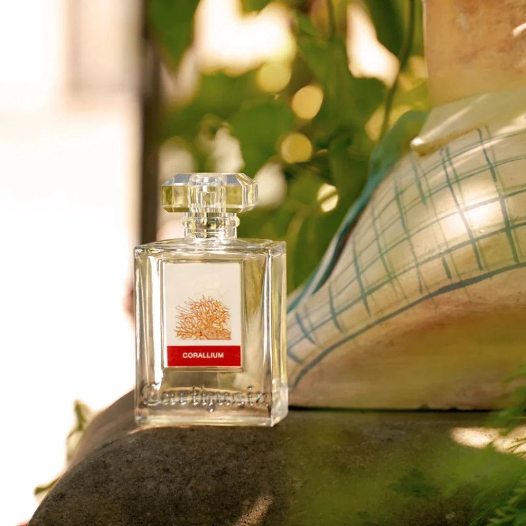 Carthusia CORALLIUM – Unisex Nischenduft mit Baummoos, Kräutern & Hölzern bei scent amor auf Felsen vor Büste