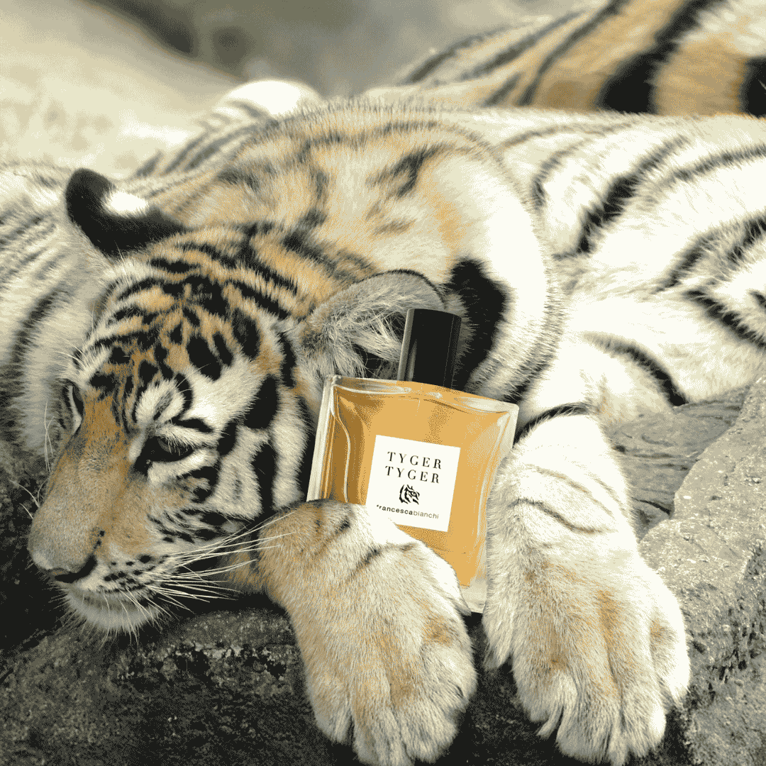 Francesca Bianchi Tyger Tyger Extrait de Parfum – der Flakon vor einem Tiger – entdecke ihn bei scent amor