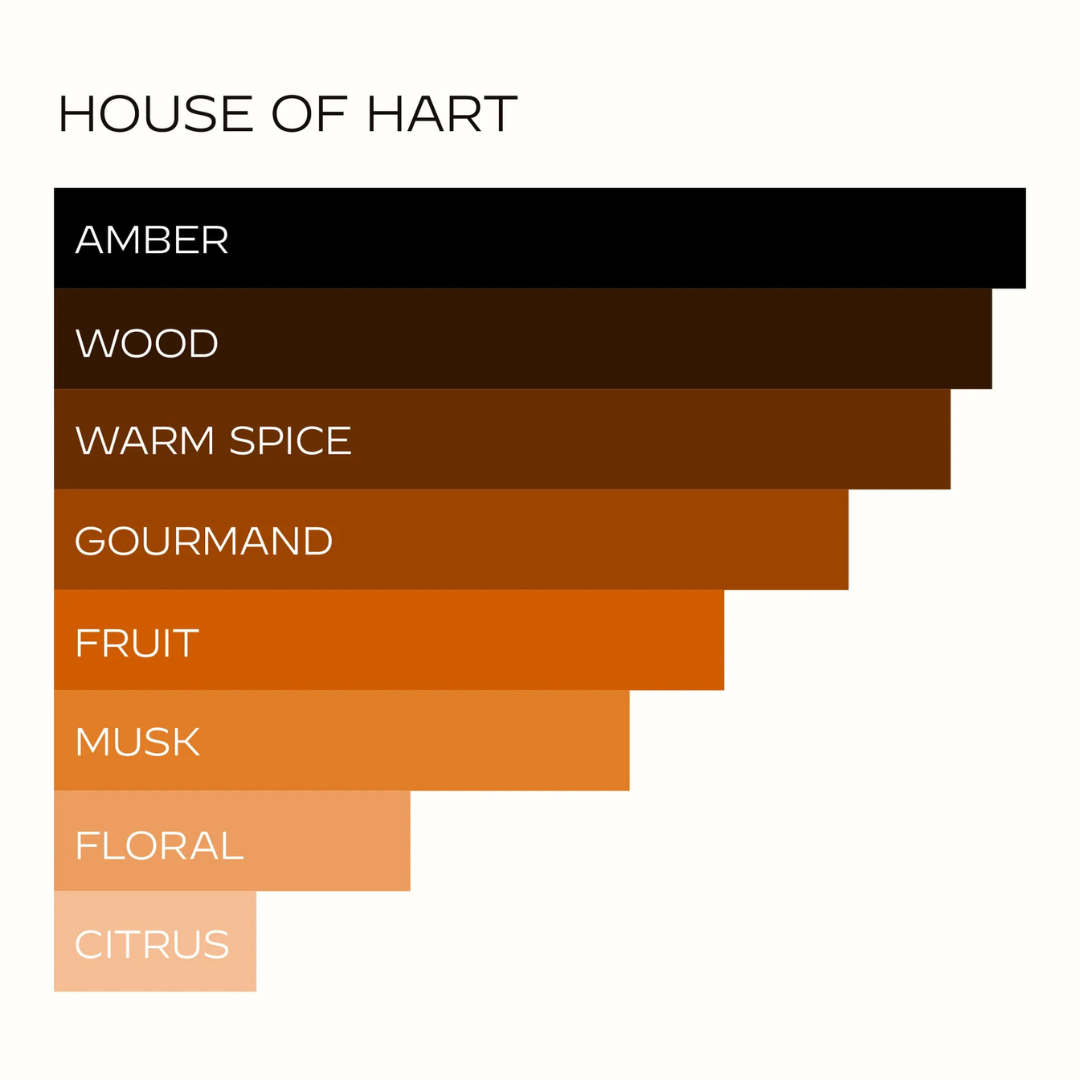 Hart + Hedi House of Hart Eau de Parfum – grafische Darstellung der Duftnoten und Eigenschaften als Balkendiagramm mit orangem Vibe bei scent amor