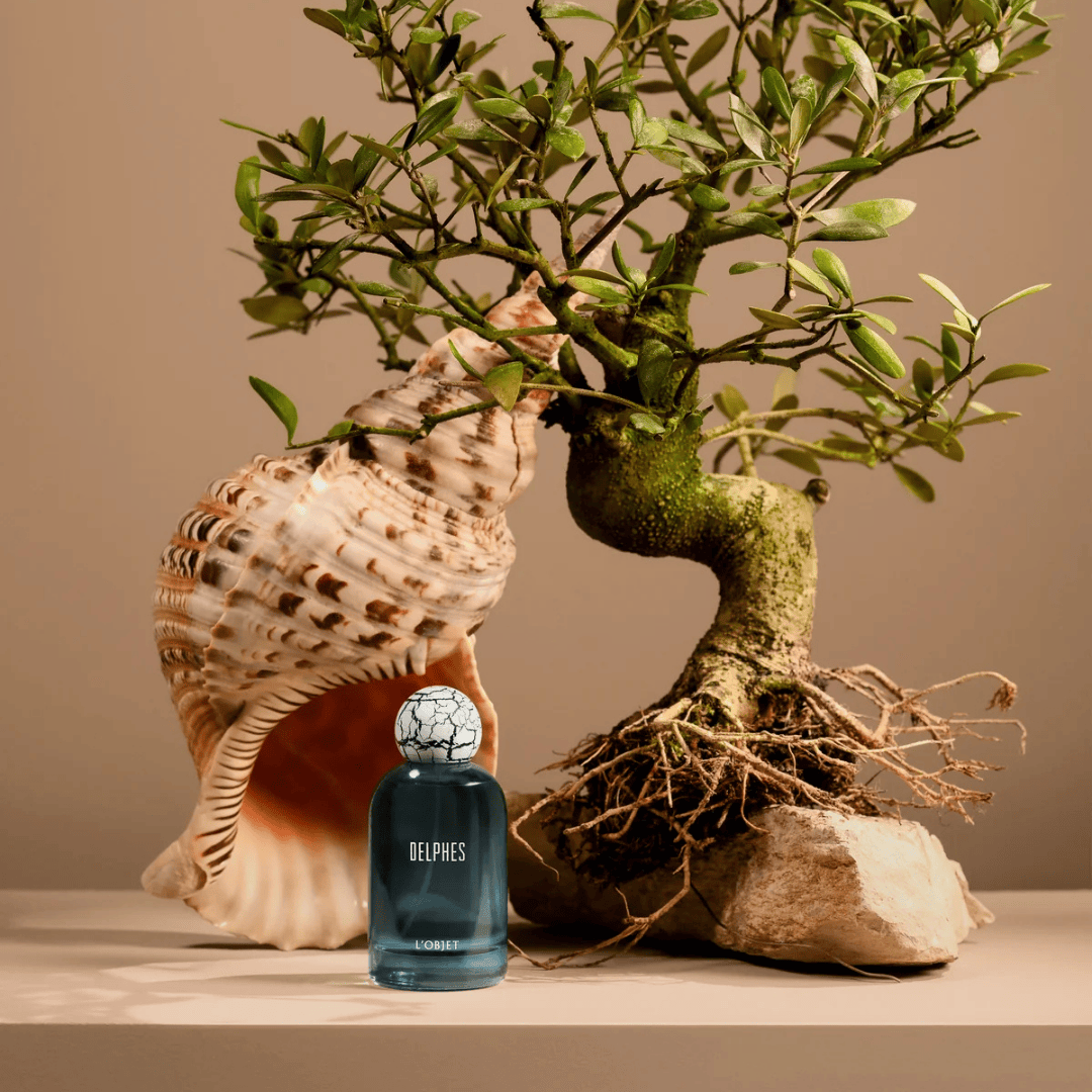 L’Objet Delphes Eau de Parfum, künstlerische Präsentation mit Muschel und Bonsai, inspiriert von Natur und Balance, erhältlich bei scent amor.